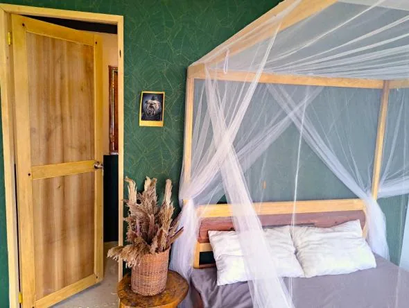 Double Room with Terrace at The View - Jungle Lodges, Port Barton, showing the queen bed with a draped mosquito net against a green wall, dried-grass decor on the bedside table
