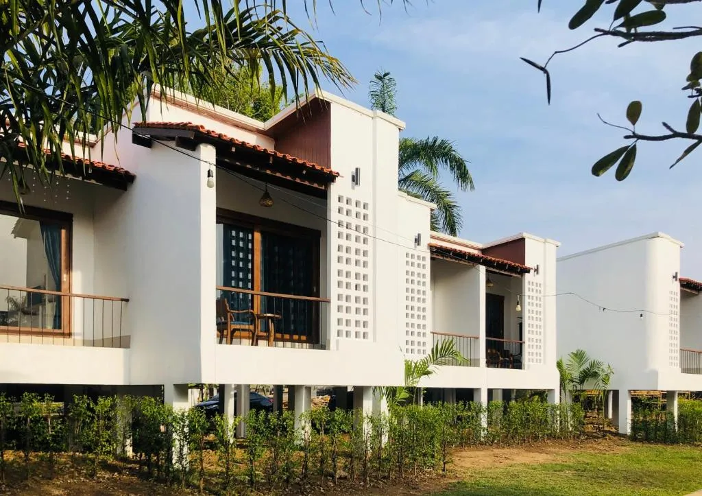Stilted white rooms at Canary Guesthouse with wooden balconies, palm trees and a manicured lawn under a blue sky
