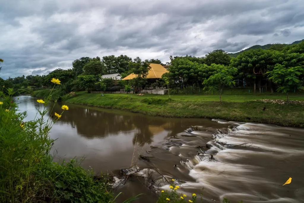 The Pai River flowing over small rapids beside Canary Guesthouse, with yellow wildflowers and forested hills under cloud