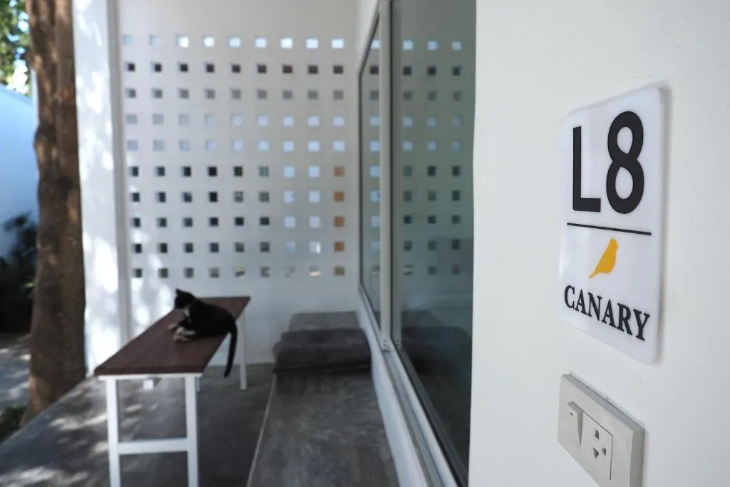 Room L8 entrance at Canary Guesthouse with the canary logo sign, breeze-block wall and a cat resting on a bench